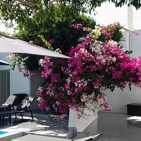 Villa Luxl *